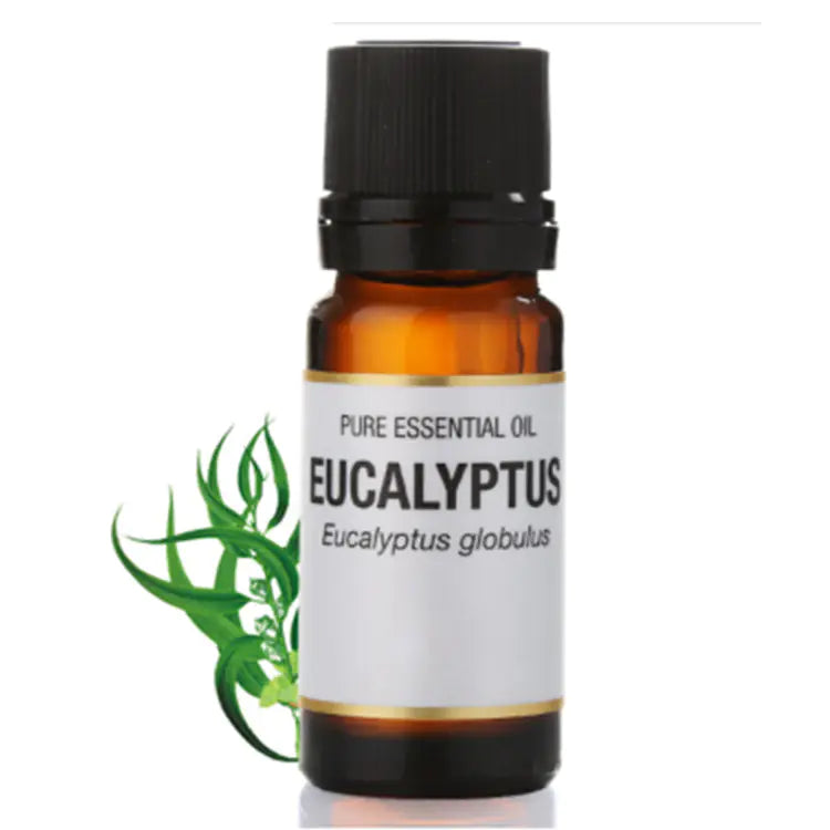 Eucalyptus Essential Oil